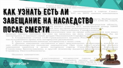 Наследство и родственники: шансы на наследование при отсутствии завещания