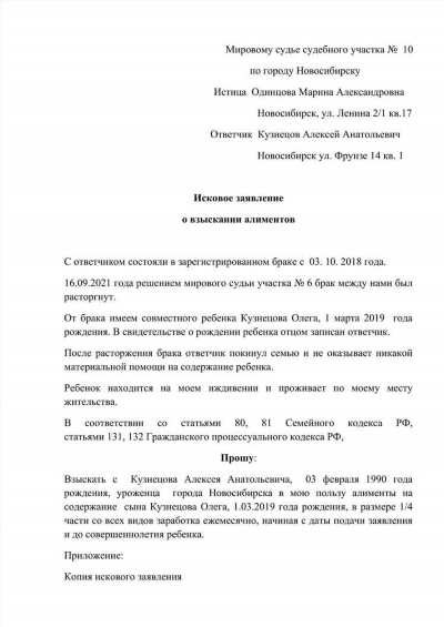 Исковое заявление о взыскании алиментов на ребенка в 2022 году: правила составления